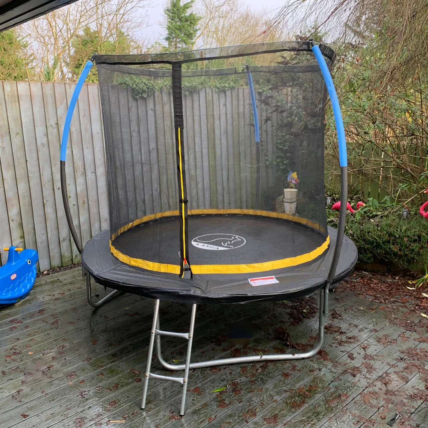 Blue Trampoline with Safety Net Assembly